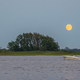 Illustration for article titled 21 Super Photos Of The Super Moon